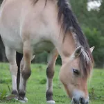 La Cidrerie
