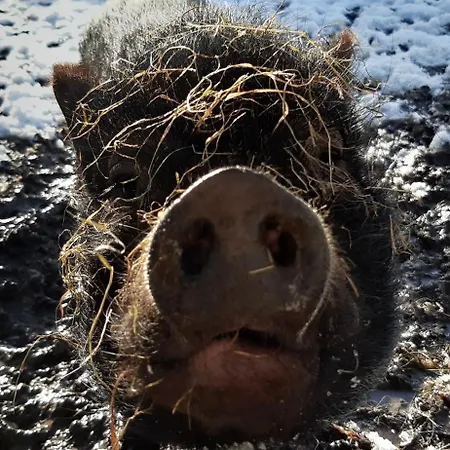 Casa de Férias La Cidrerie *